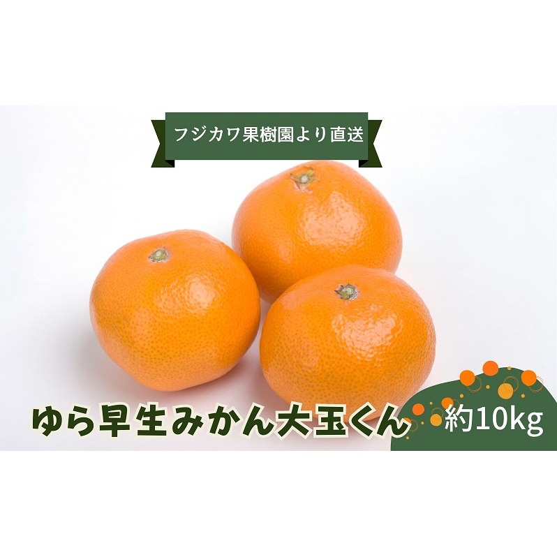 2025年秋よりお届け ゆら早生みかん 大玉くん 10kg 果物類 柑橘類 フルーツ ミカン 蜜柑 くだもの 香川県観音寺市15000果物・フルーツみかん・柑橘類