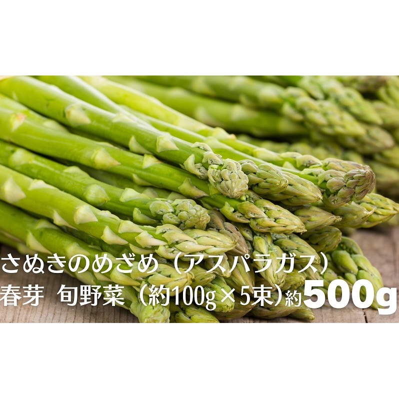 さぬきのめざめ(アスパラガス)春芽 旬野菜 約500g(約100g×5束) 野菜セット 香川県観音寺市7000野菜・きのこその他 野菜