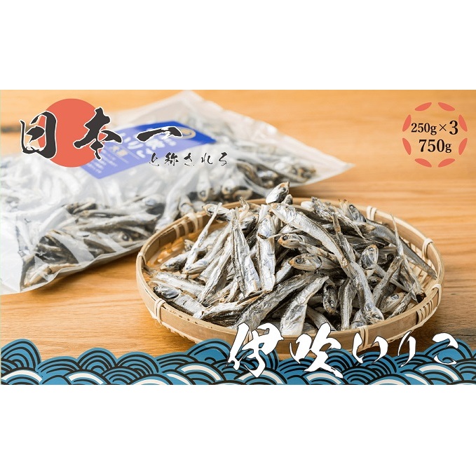 いりこの産地から!伊吹いりこ 大羽 750g(250g×3袋) 大容量 瀬戸内海 伊吹島産 鰯 カタクチイワシ 海参 加工食品 出汁 おやつ お子様にも カルシウム 健康 海の幸 乾物 魚介類 おつまみ 保存