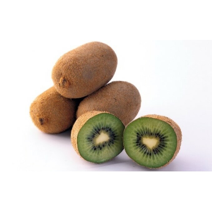 쌧IWiLECu΁i傭jv1.2kg ʕl t[c 쌧ωs9000ʕEt[c̑ ʕEt[c