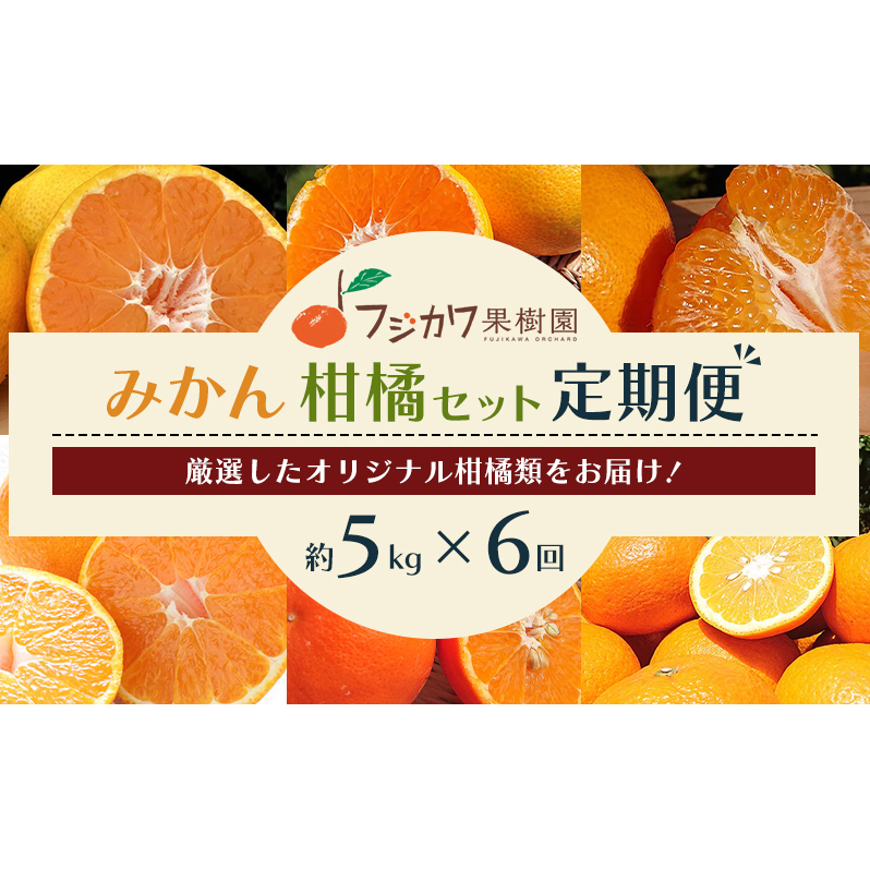 【6回 頒布会】みかん 定期便 6回 フルーツ フジカワ果樹園オリジナル(新季節の柑橘セット) 果物 香川県観音寺市73000果物・フルーツみかん・柑橘類