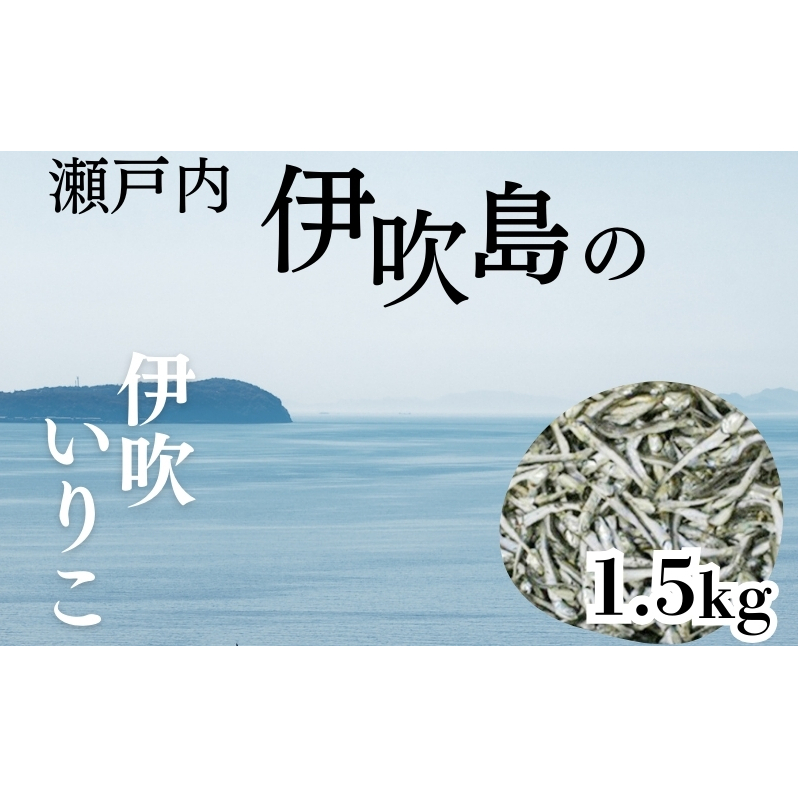 伊吹いりこ 1.5kg 出汁 さぬき特産 魚貝 魚介類 香川県観音寺市21000魚介・海産物その他 魚介・海産物