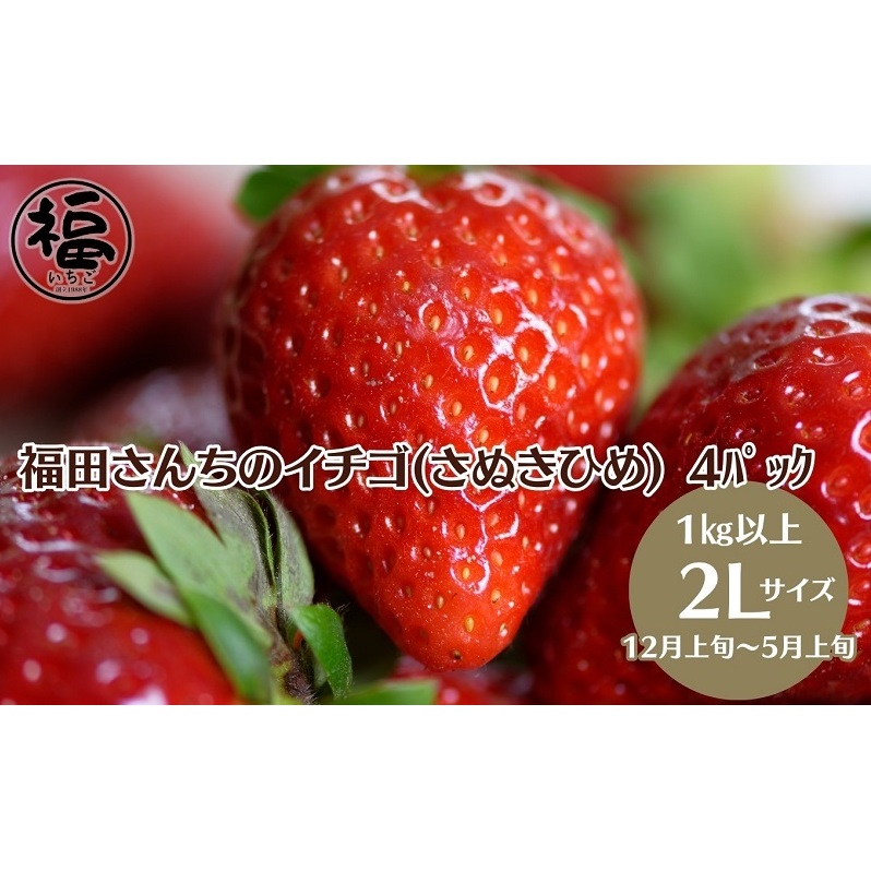福田さんちのイチゴ(さぬきひめ) 2Lサイズ×4パック 1kg以上【配送不可:北海道、沖縄県、離島エリア】苺 農園直送 いちご採れたて直送香川県観音寺市16000果物・フルーツいちご
