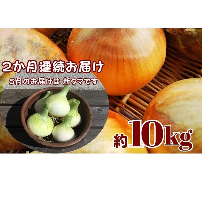 観音寺産採れたての たまねぎ 約10kg(2ヵ月連続お届け) 野菜 玉ねぎ タマネギ 香川県観音寺市15000野菜・きのこ玉ねぎ・ねぎ