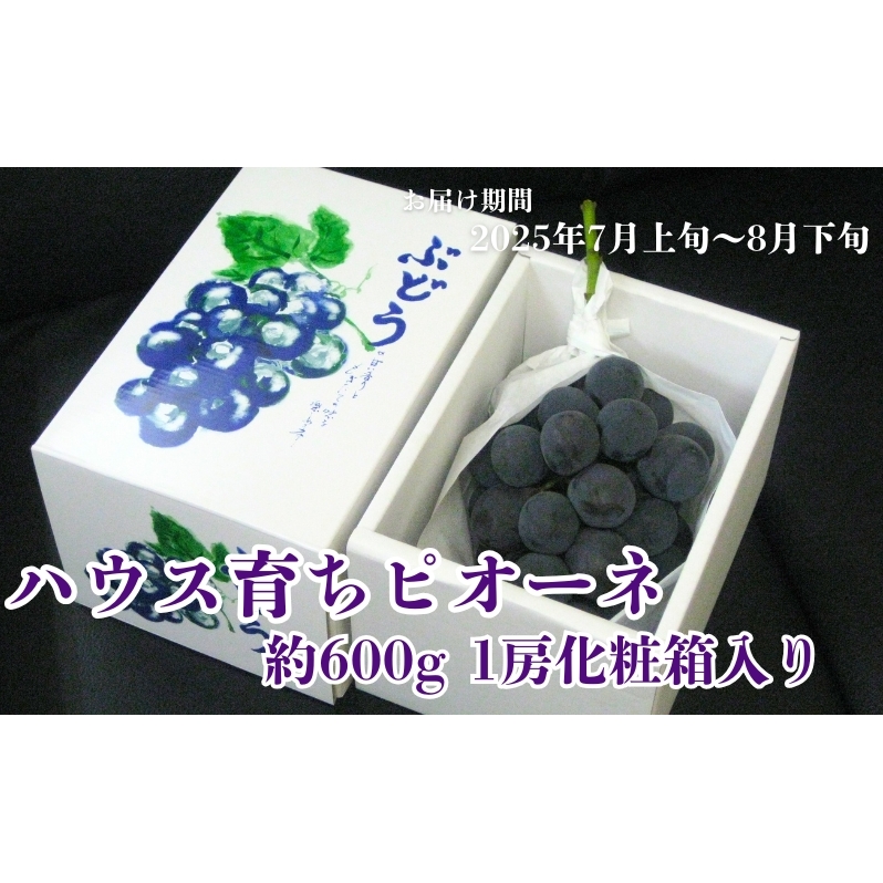 ハウス育ち ピオーネ 約600g 1房化粧箱入り 果物 ぶどう ブドウ フルーツ 香川県観音寺市11000果物・フルーツマスカット・ぶどう