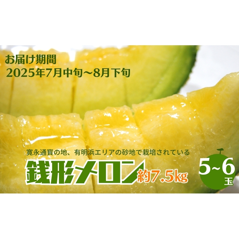 K` 5`6ʓ 7.5kg mA[Xn ʕ t[c 쌧ωs35000ʕEt[cEXCJ