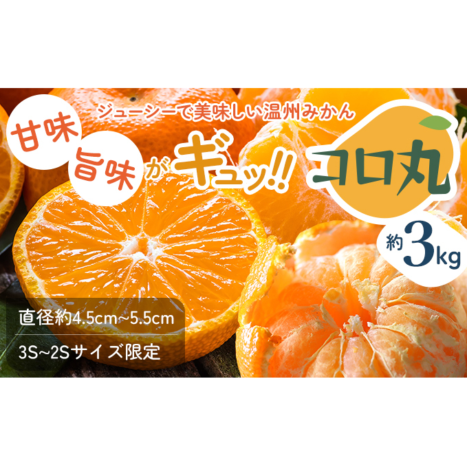 2025年秋よりお届け 瀬戸内 小みかん!コロ丸 約3kg 果物類 柑橘類 フルーツ 香川県観音寺市8000果物・フルーツみかん・柑橘類