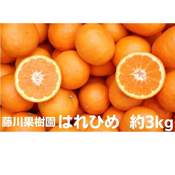 はれひめ 約3kg 2025年1月お届け! 果物類 柑橘類 みかん フルーツ 香川県観音寺市9000果物・フルーツみかん・柑橘類