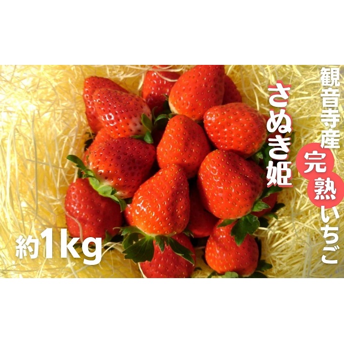 数量限定 苺狩りの食味をお届け!観音寺産完熟いちご(さぬき姫)約1kg 果物類 イチゴ オリジナル品種 紅色 高設式養液栽培 プレゼント 香川県観音寺市17000果物・フルーツいちご