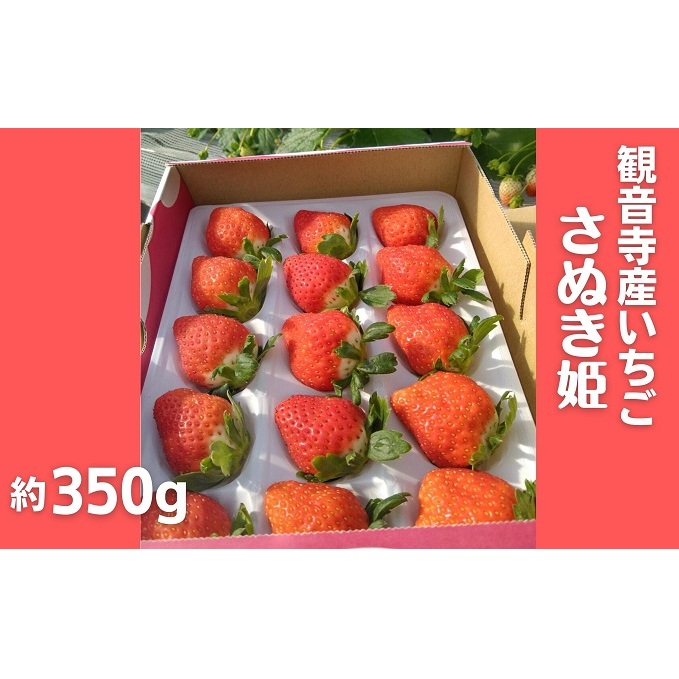 ʌ@ωYiʂPj350g×1 ʕ  C`S IWii gF ݎ{t͔| v[g 쌧ωs10000ʕEt[c