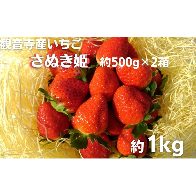 数量限定 観音寺産いちご(さぬき姫)バラ詰め約1kg(約500g×2箱) 果物類 苺 イチゴ オリジナル品種 紅色 高設式養液栽培 プレゼント 香川県観音寺市12000果物・フルーツいちご