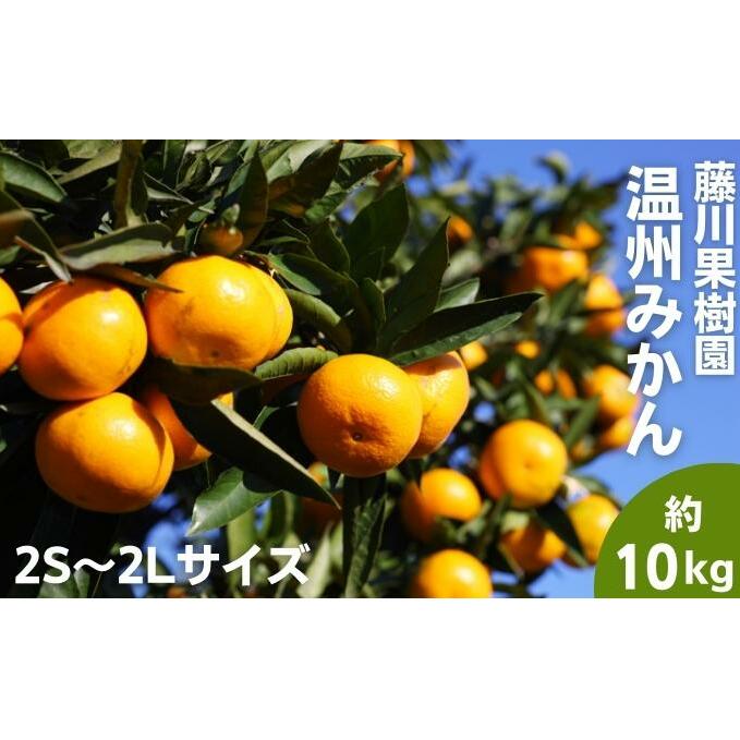 2025年秋よりお届け フジカワ温州みかん 約10kg 果物 柑橘 フルーツ おやつ 間食 デザート 食後 極早生 早生 甘い 大容量 冬 秋 香川県観音寺市15000果物・フルーツみかん・柑橘類