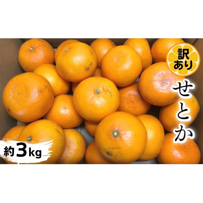 《訳あり》 せとか 約3kg 甘い みかん お取り寄せ  果物 くだもの 季節限定 柑橘 蜜柑 かんきつ おすすめ フルーツ 香川県観音寺市 香川県観音寺市8000果物・フルーツみかん・柑橘類