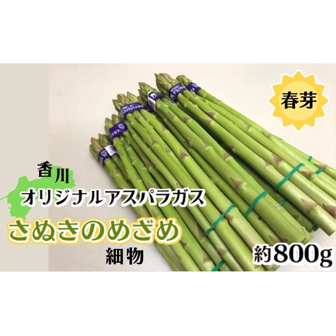 香川オリジナルアスパラガス「さぬきのめざめ春芽」細物 約800g 野菜 産地直送 香川県産 春野菜 Mサイズ 香川県観音寺市8000野菜・きのこその他 野菜