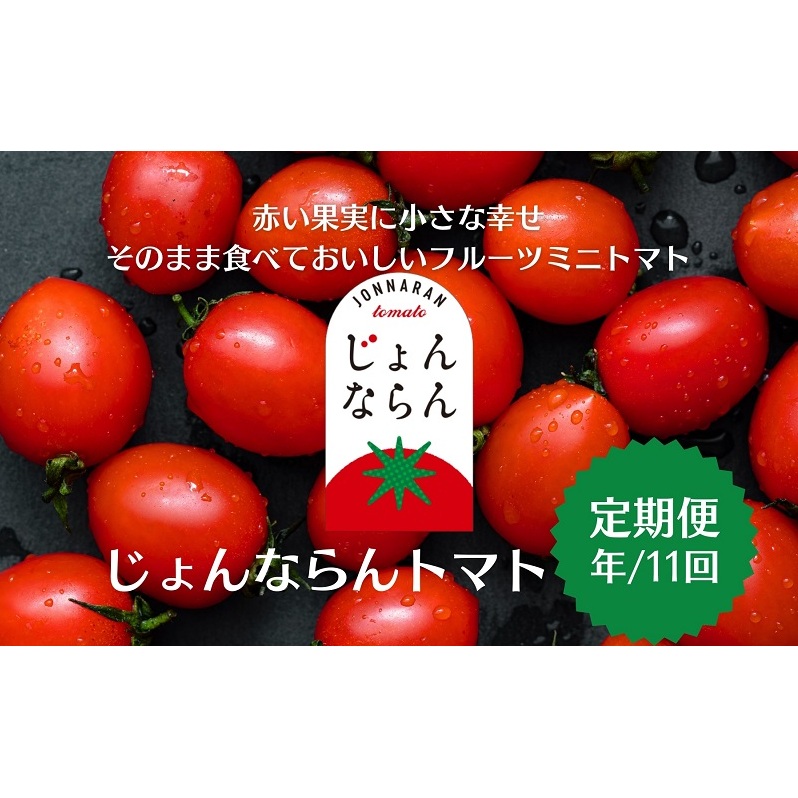 モリヒロ園芸が育てたじょんならんトマトの定期便(年間11回) 野菜 ミニトマト 甘い フルーツ サラダ 香川県観音寺市116000野菜・きのこトマト
