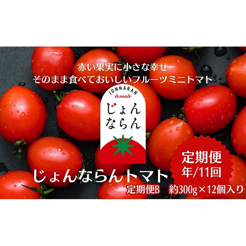 モリヒロ園芸が育てたじょんならんトマトの定期便B 約300g×12個入り(年間11回) 野菜 ミニトマト 甘い フルーツ サラダ 香川県観音寺市226000野菜・きのこトマト