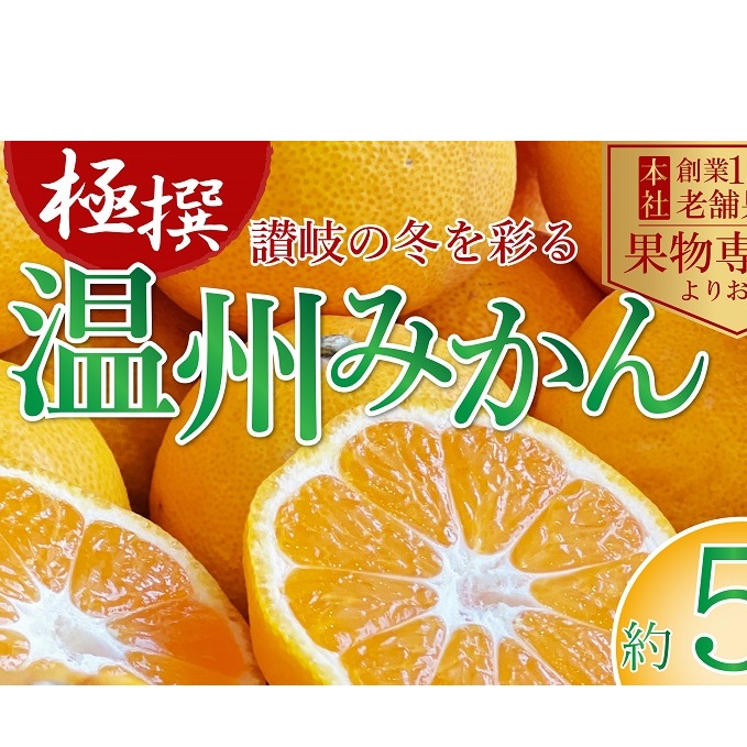 【2025年11月上旬より順次発送】極撰!温州みかん 約5kg 果物 柑橘 フルーツ 程よい酸味 ジューシー 甘い 国産 日本産 冬の味覚 冬の果物 冬のフルーツ 香川県観音寺市12000果物・フルーツみか