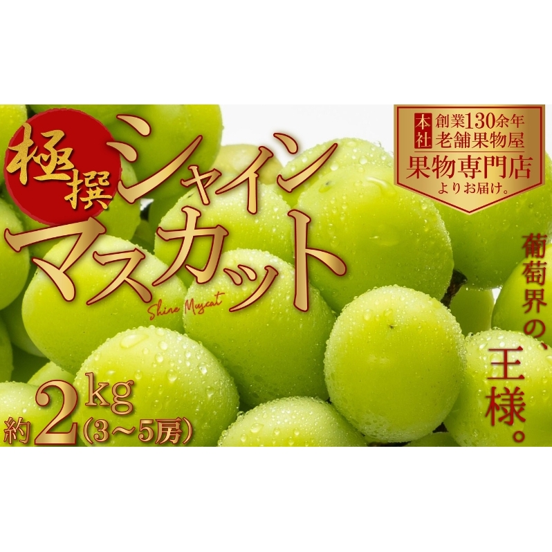 【2025年先行予約 極撰】シャインマスカット 約2kg(3〜5房) 果物 ぶどう フルーツ デザート 食後 国産 日本産 産地直送 ジューシー 種なし 観音寺産 香川県観音寺市23000果物・フルーツマス