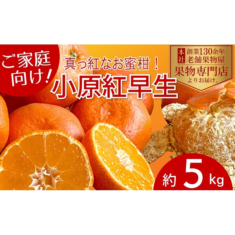 y2025N11{菇zƒpI^ԂȂ݂̏g@5kg ʕ t[c k fU[g  H Y {Y Yn IWii Hו 쌧ωs110