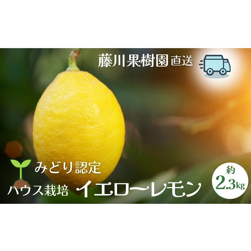 【2025年先行予約】みどり認定 ハウス栽培イエローレモン 2.3kg 国産レモン 香川 柑橘類 レモン  香川県観音寺市14000果物・フルーツみかん・柑橘類