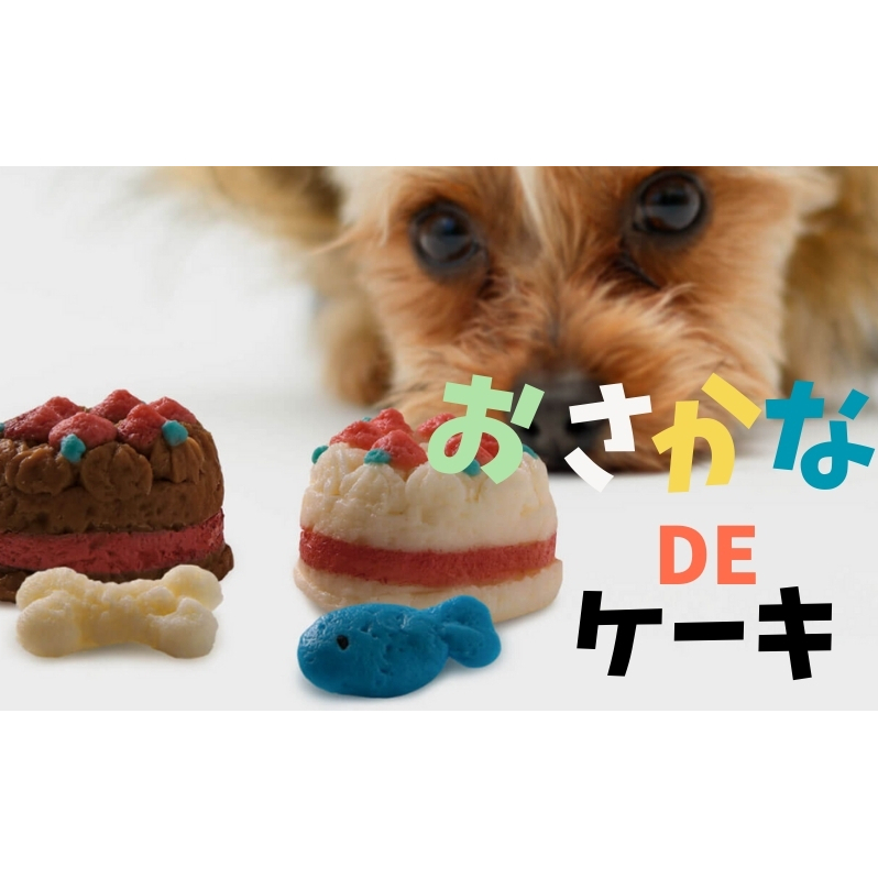 ペット用 おさかなDEケーキ (2個) ペットフード ペット用品 ケーキ 犬 猫 誕生日 おやつ香川県観音寺市9000鍋セット・総菜・加工食品総菜