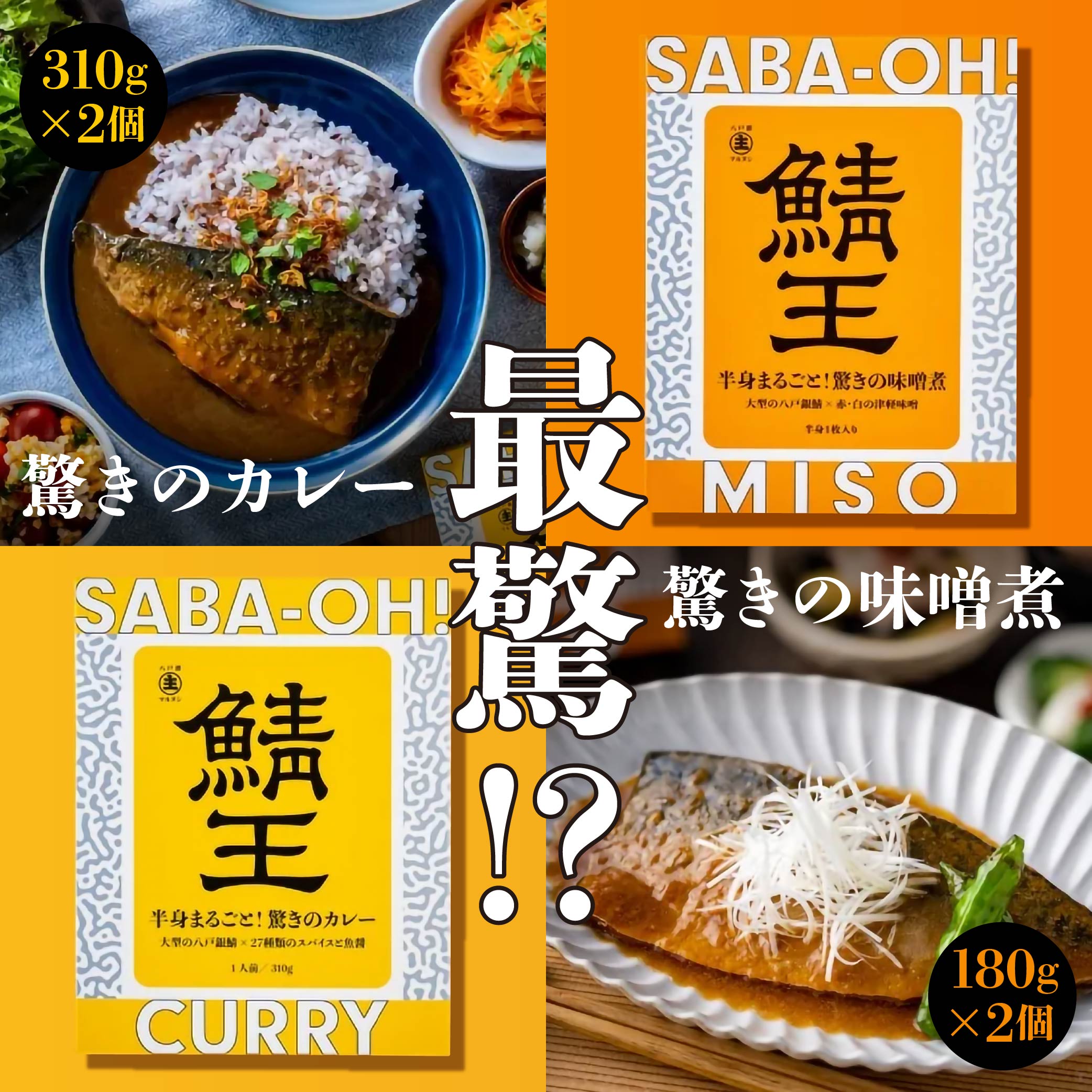 最驚!? 鯖王 カレー & 味噌煮 (各2個ずつ計4個) 八戸前沖さば サバ青森県八戸市18000魚介・海産物その他 魚介・海産物