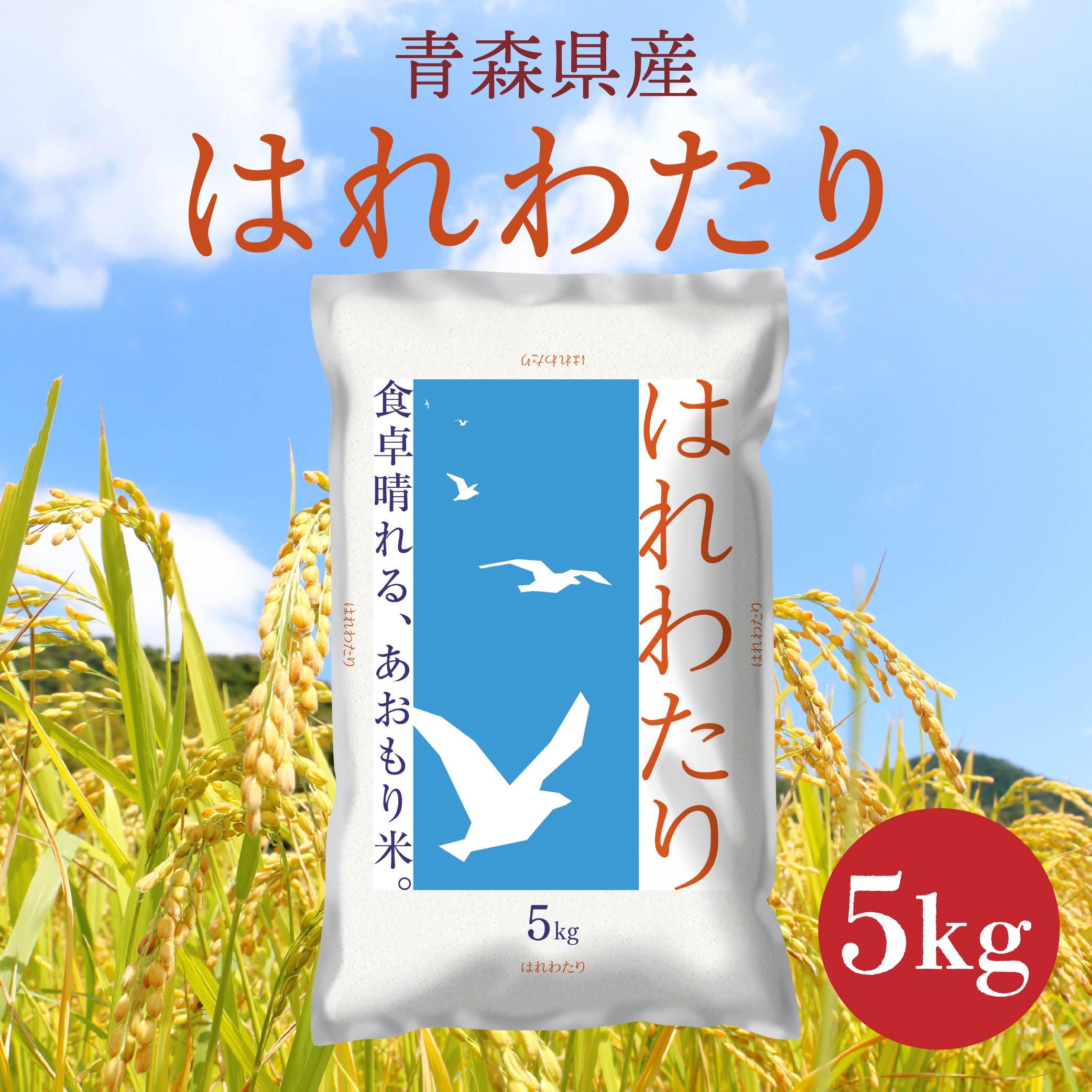 XY ͂킽 5kg 5kg×1 ߘa7NY     XYXˎs24000āEp