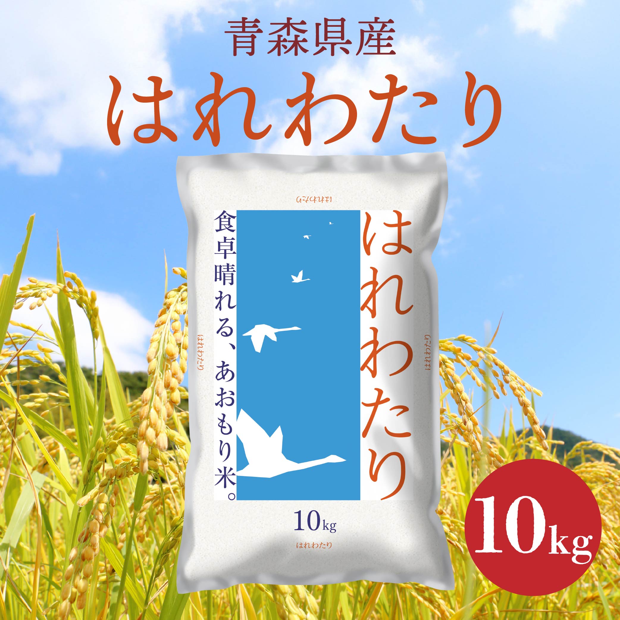 XY ͂킽 10kg 10kg×1 ߘa7NY     XYXˎs44000āEp