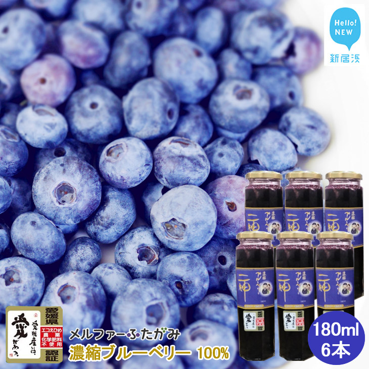 ʏ` Zk u[x[100 180ml 6{ Zbg GRЂߔF؍͔| Y t@[ӂ݈QVls48000Eʏ`E؈