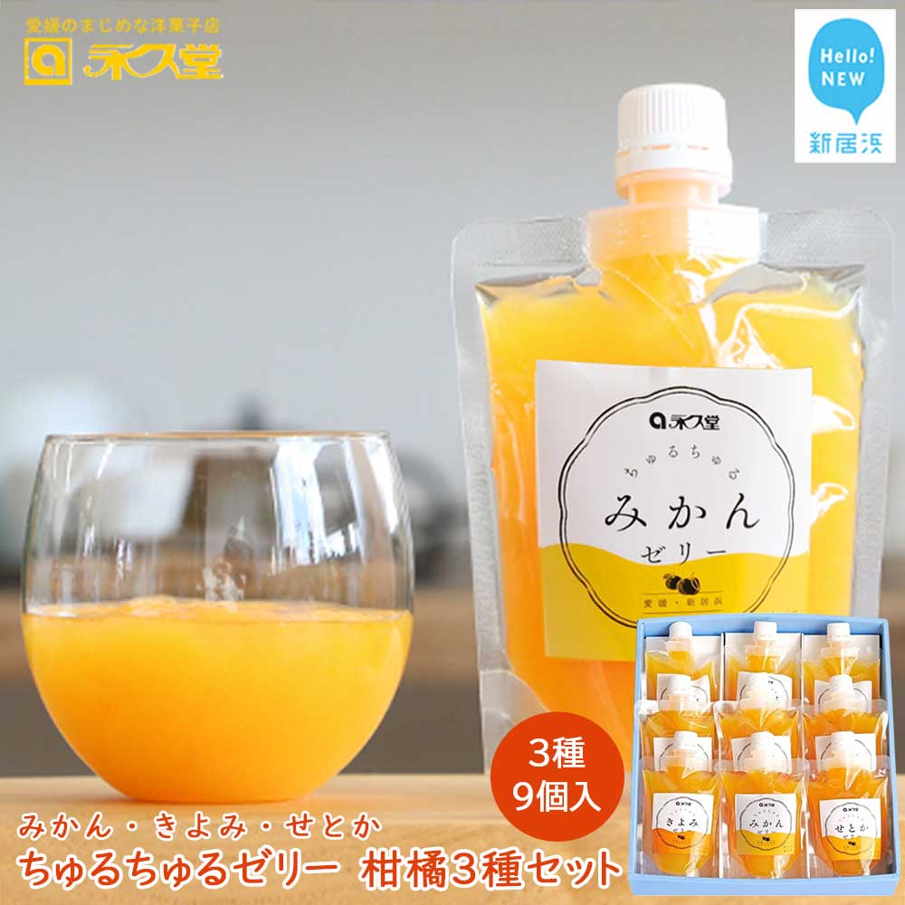 フルーツゼリー ちゅるちゅるゼリー 柑橘 3種 合計6個 セット