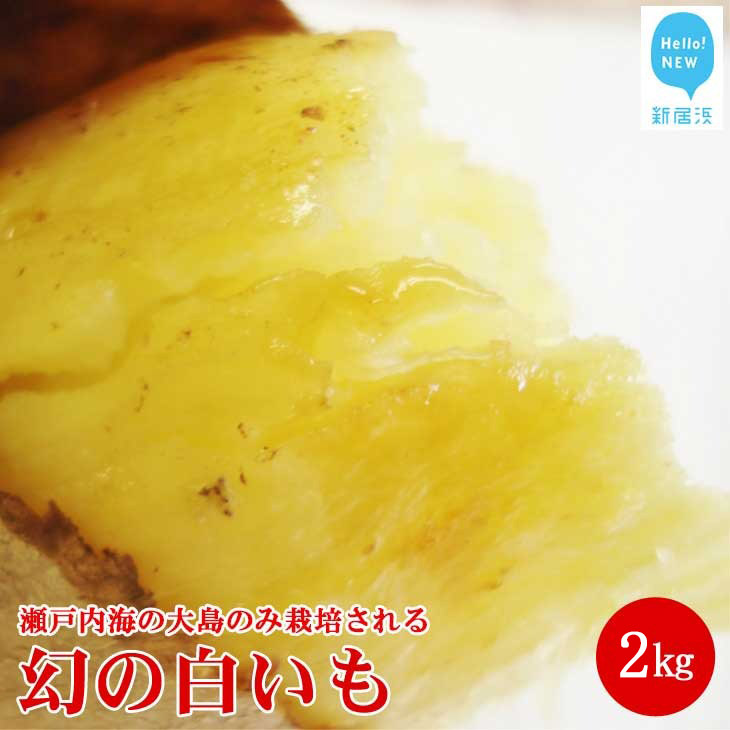 【先行予約】【数量限定】 新居浜大島産 幻のさつまいも 『白いも』 2kg 七福芋 白芋 希少愛媛県新居浜市10000野菜・きのこじゃがいも・イモ類