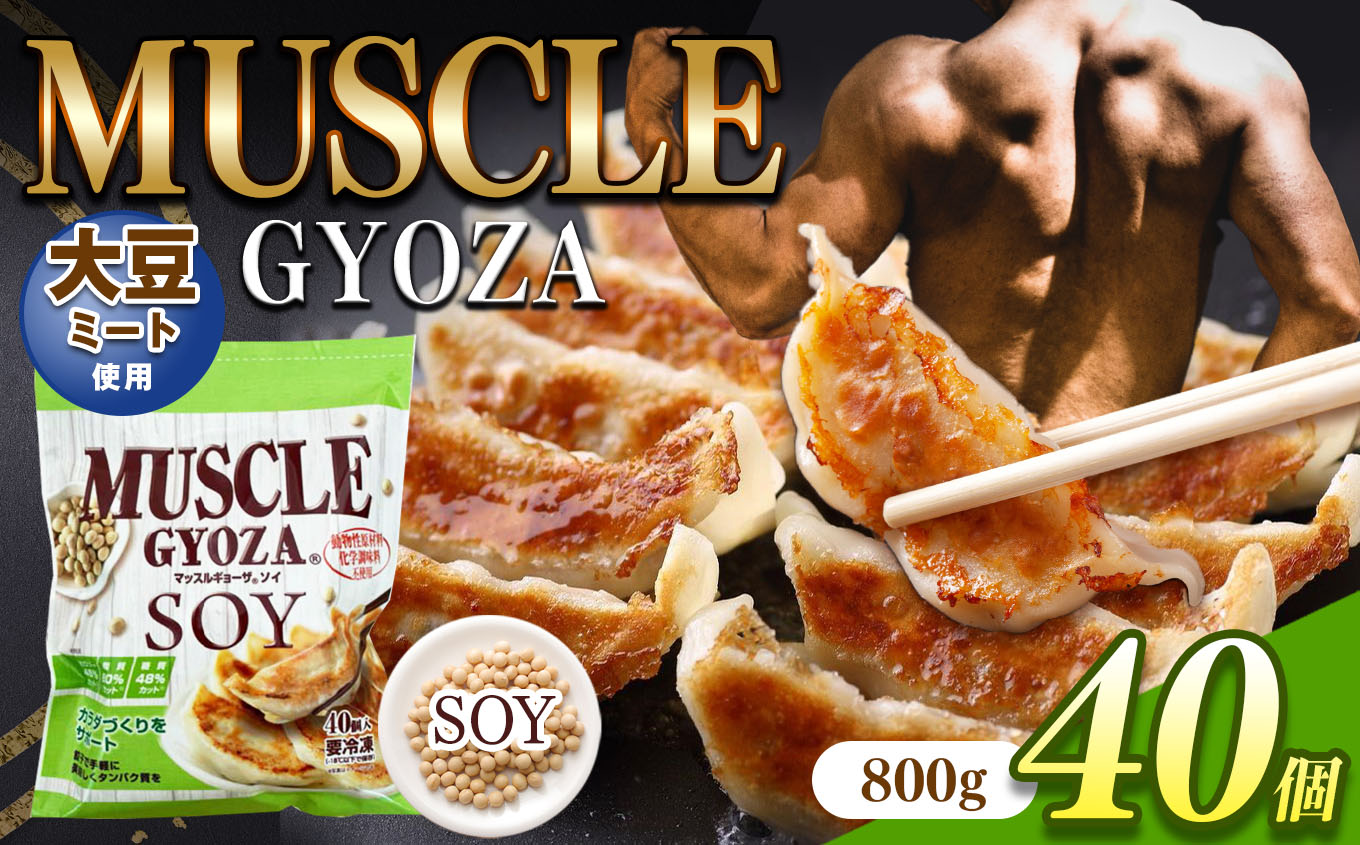 MUSCLE GYOZA SOY@`}bXM[U\C`@ⓀLq401ܒ쌧{s10000ZbgE؁EHHȋ ZbgE؁EHHi