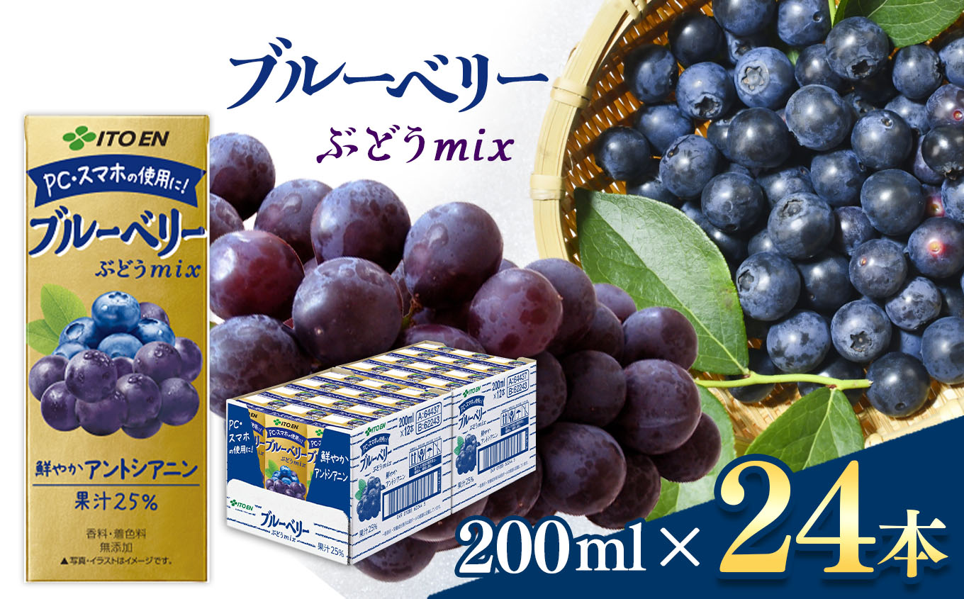ブルーベリー飲料 紙パック  ( 200ml × 24本 )  伊藤園長野県松本市12000お茶・飲料果汁・野菜飲料