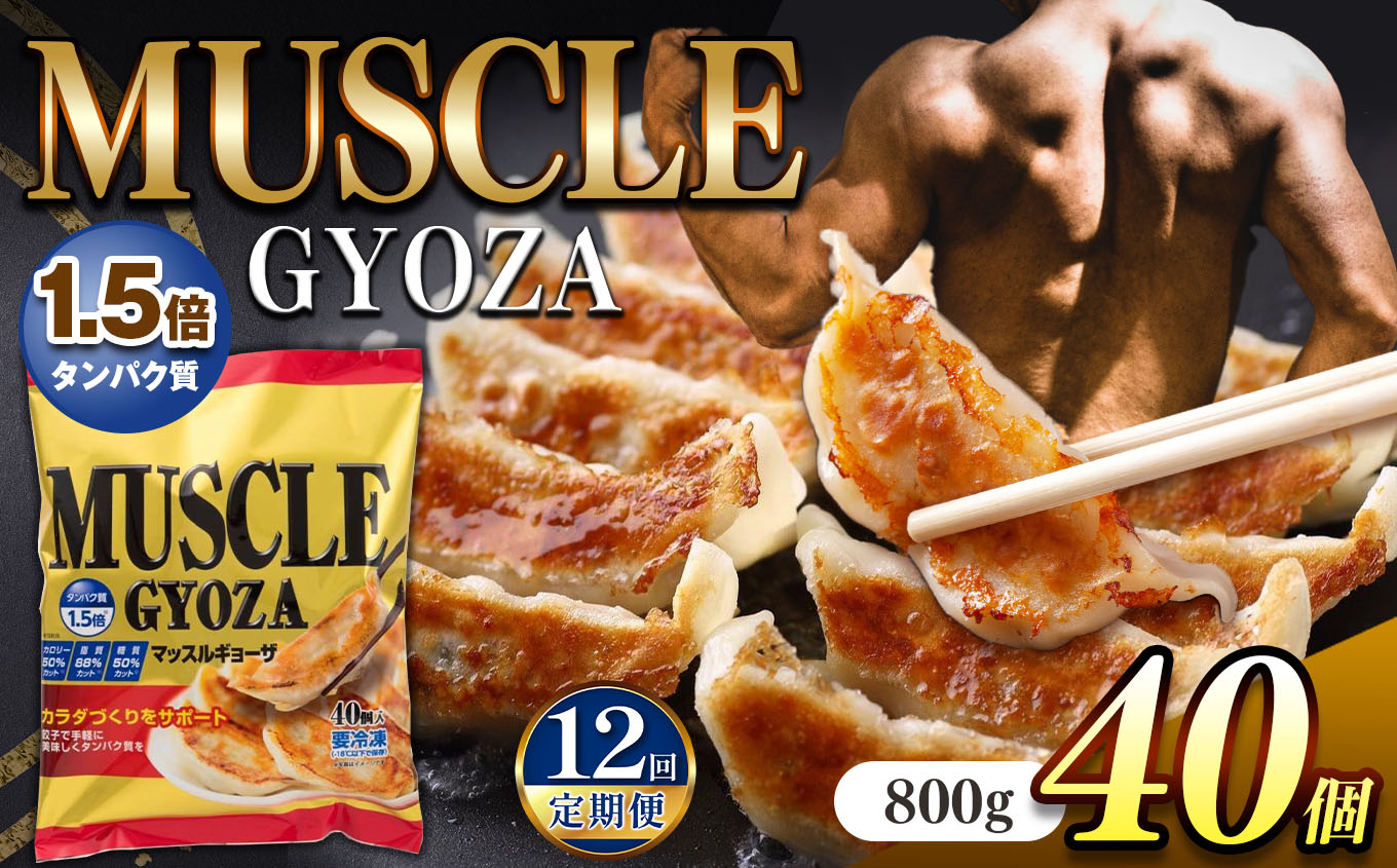 【定期便12回】MUSCLE GYOZA ~マッスルギョーザ 〜冷凍餃子40個入り1袋長野県松本市46000鍋セット・総菜・加工食品その他 鍋セット・総菜・加工食品