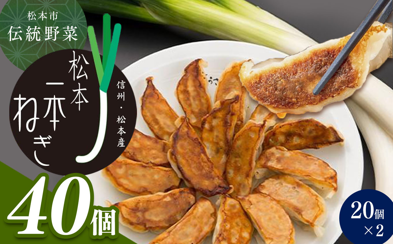 【伝統野菜松本一本ねぎ使用】松本一本ねぎ餃子長野県松本市10000鍋セット・総菜・加工食品その他 鍋セット・総菜・加工食品