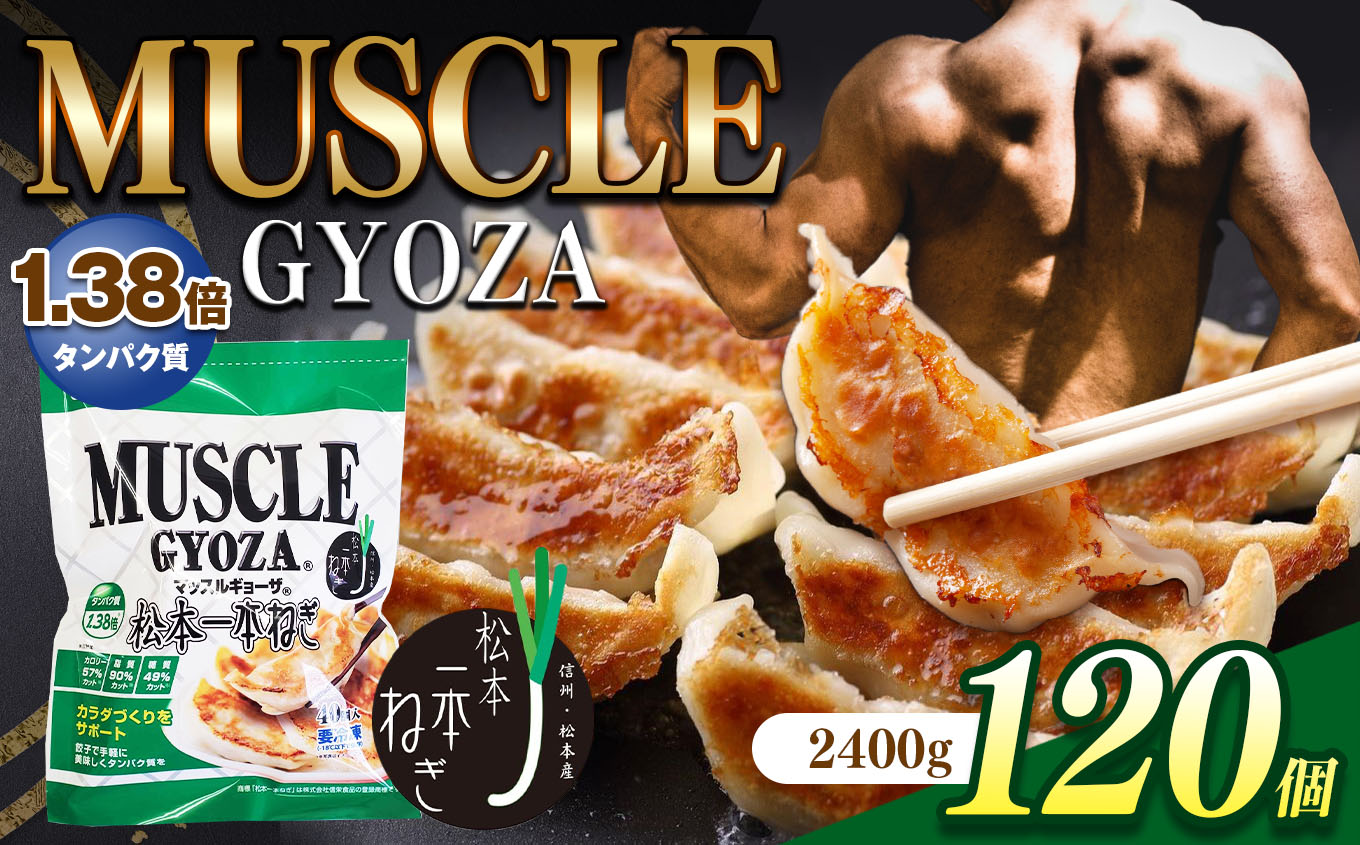 MUSCLE GYOZA〜マッスルギョーザ〜松本一本ねぎ(3パックセット)|餃子 ギョーザ低糖質 マッスルギョーザ 長野県 松本市長野県松本市16000鍋セット・総菜・加工食品その他 鍋セット・総菜・加