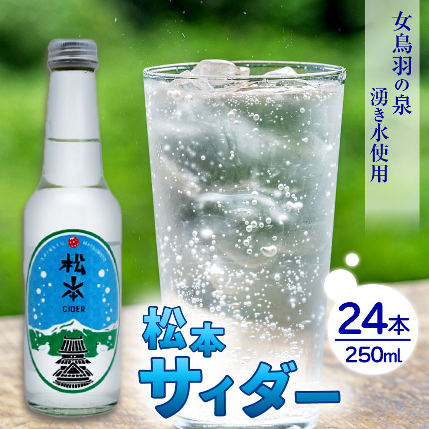 松本サイダー|サイダー 炭酸 炭酸飲料 さわやか 天然水使用 飲料 ペットボトル ソフトドリンク ドリンク 長野県 松本市 ふるさと納税長野県松本市32000お茶・飲料その他 お茶・飲料