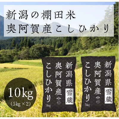 【令和6年産先行受付・2024年10月10日以降発送】新潟県奥阿賀産こしひかり10kg(5kg×2)【1234696】新潟県阿賀町16000米・パン白米