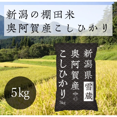【令和6年産先行受付・2024年10月10日以降発送】新潟県奥阿賀産こしひかり5kg【1236678】新潟県阿賀町11000米・パン白米