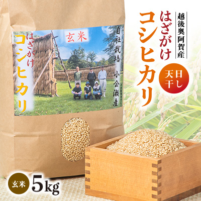 小会瀬のお米「はざがけコシヒカリ」玄米 5kg【1560569】新潟県阿賀町21000米・パン玄米・雑穀米・もち米・餅