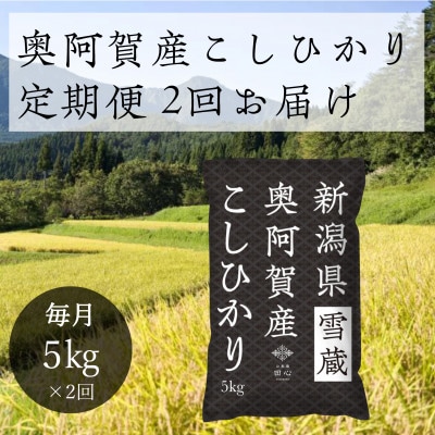 【発送月固定定期便】新潟県奥阿賀産こしひかり 精米5kg全2回【4054055】新潟県阿賀町21000米・パン白米