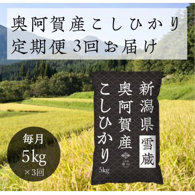 yŒցzVYЂ 5kgS3y4054072zV꒬30000āEp