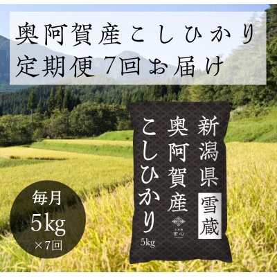 【発送月固定定期便】新潟県奥阿賀産こしひかり 精米5kg全7回【4054313】新潟県阿賀町61000米・パン白米
