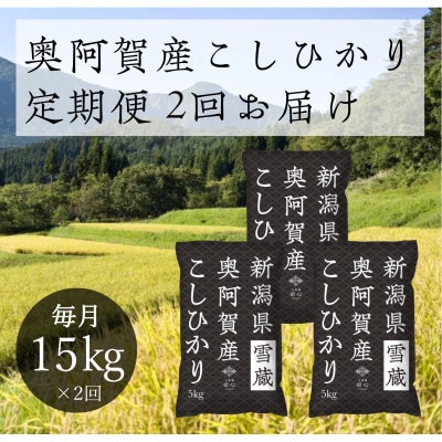 【発送月固定定期便】新潟県奥阿賀産こしひかり 精米15kg全2回【4054431】新潟県阿賀町41000米・パン白米