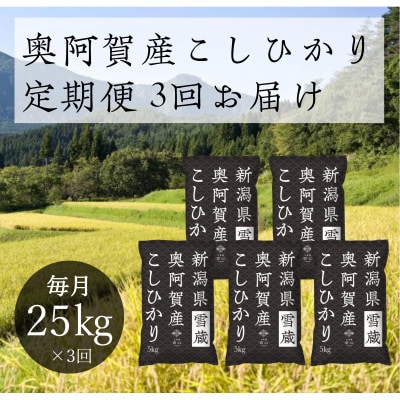 yŒցzVYЂ 25kgS3y4054438zV꒬99000āEp