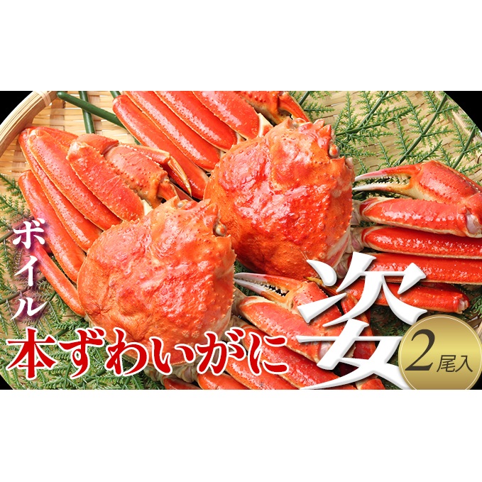 y Jj z{C {킢 p 2  }Y   I 킢I 킢Kj YCKj {錧j22000ECYJj