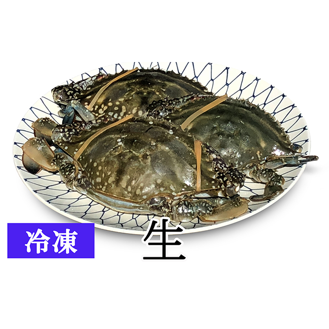 yj̃^Kjz󂠂胏^Kj 3`5iⓀFj I Jj {錧j12000ECYJj