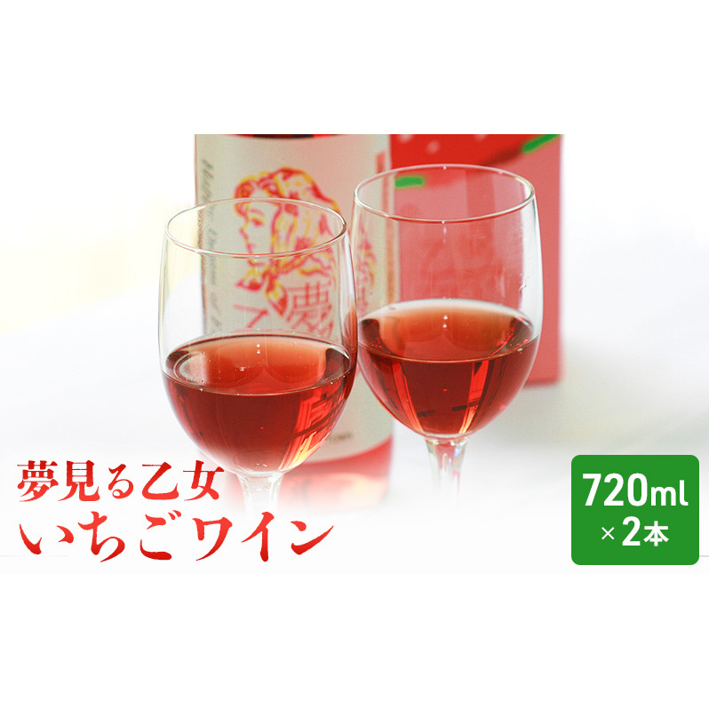 【亘理町いちご産】夢見る乙女2本セット いちごワイン宮城県亘理町12000酒・アルコールワイン