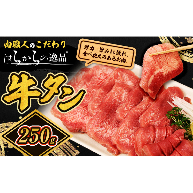 大人気 牛タン 厳選成牛たん 250g 職人仕込み 秘伝の塩味 はらからの逸品 牛たん 厚切り 厚切 焼肉 スライス 牛 牛肉 肉 お肉 ぎゅうたん おつまみ バーベキュー BBQ 塩 はらから宮城県亘理町80
