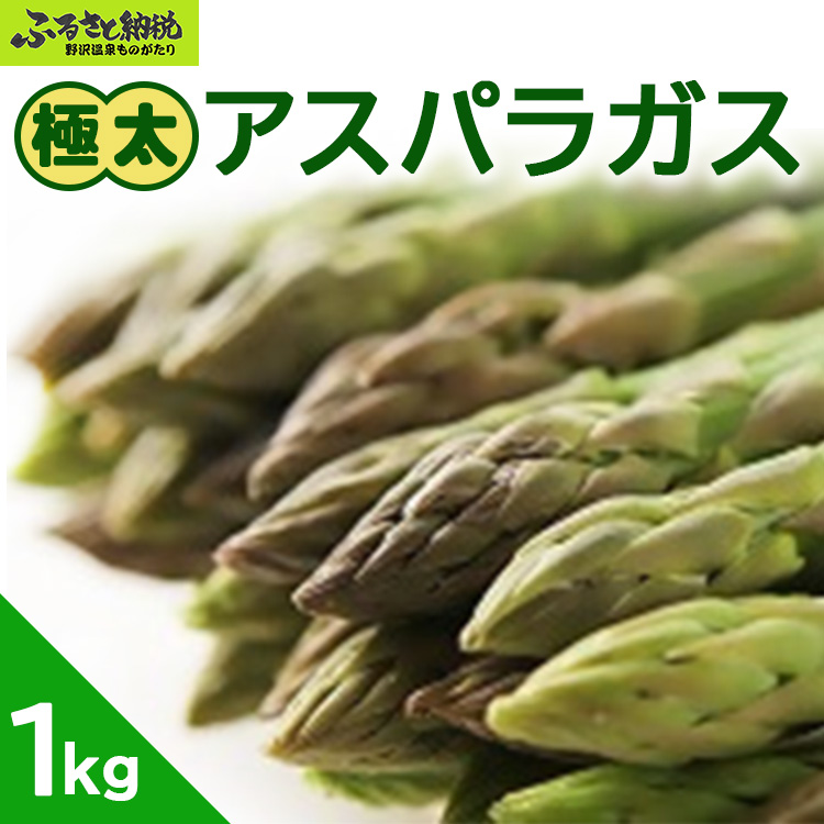 極太アスパラガス1kg | J-3 ※2025年5月中旬頃より順次発送予定長野県野沢温泉村13000野菜・きのこその他 野菜